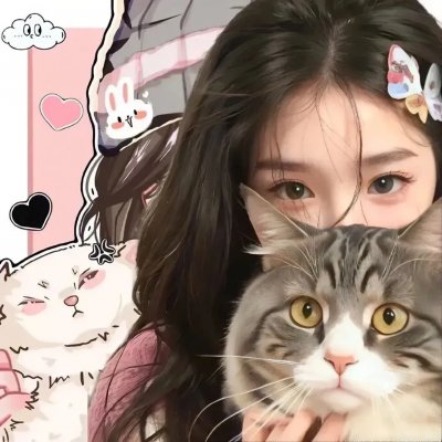 叶问外传：张天志粤语